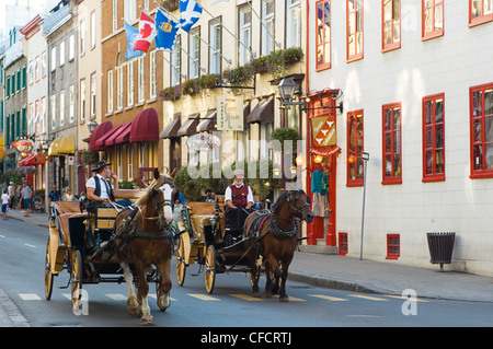 Pferdekutsche Kutsche entlang Rue St. Louis, Quebec Stadt, Quebec, Kanada. Stockfoto