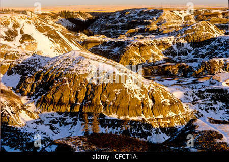 Horseshoe Canyon, Drumheller, Alberta, Kanada Stockfoto