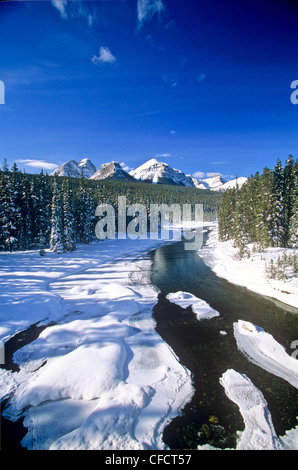 Fluss, der durch Banff Nationalpark, Alberta, Kanada Stockfoto