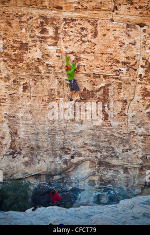 Eine männliche Bergsteiger-Sportklettern in Red Rocks, Las Vegas, Nevada, Vereinigte Staaten von Amerika Stockfoto