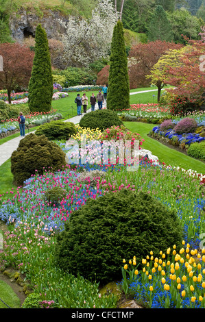 Touristen, die zu Fuß durch versunkene Garten im Frühling, Butchart Gardens, Victoria, Vancouver Island, British Columbia, Kanada Stockfoto