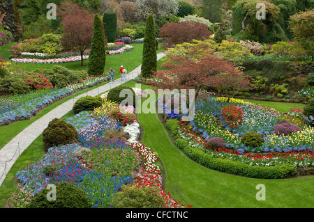 Touristen, die zu Fuß durch versunkene Garten im Frühling, Butchart Gardens, Victoria, Vancouver Island, British Columbia, Kanada Stockfoto