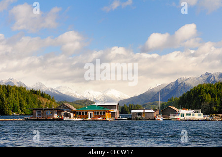 Segelboote und Schwimmer Häuser am Hafen in Tofino, Britisch-Kolumbien, Kanada. Stockfoto