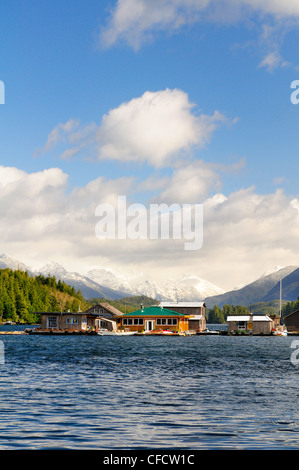 Segelboote und Schwimmer Häuser am Hafen in Tofino, Britisch-Kolumbien, Kanada. Stockfoto