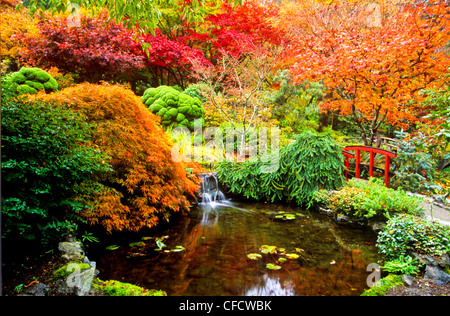 Japanischer Garten, Butchart Gardens, Victoria, Vancouver Island, British Columbia, Kanada Stockfoto