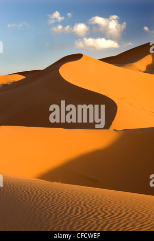 Kleine Wellen Rollen Orangen Dünen und Sand im Erg Chebbi Sand Meer in der Nähe von Merzouga, Marokko, Nordafrika, Afrika Stockfoto