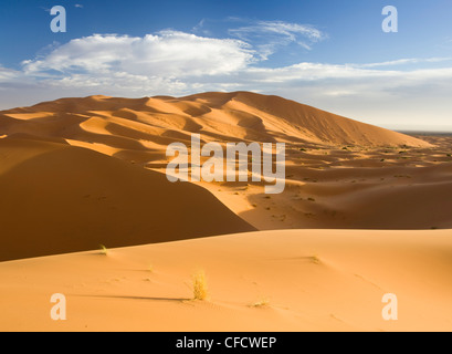 Kleine Wellen Rollen Orangen Dünen und Sand im Erg Chebbi Sand Meer in der Nähe von Merzouga, Marokko, Nordafrika, Afrika Stockfoto