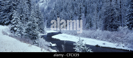 Winter Scenic des Sumallo Flusses in Manning Provincial Park, Britisch-Kolumbien, Kanada Stockfoto