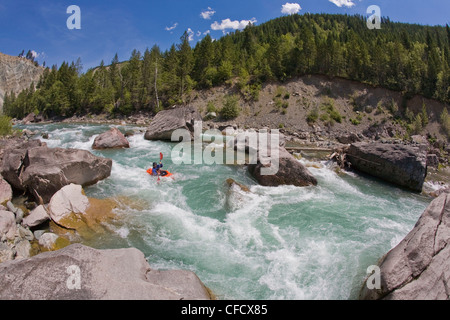 Eine männliche Kajaker paddelt Flusses Wigwam, Klasse 4 in Fernie, Britisch-Kolumbien, Kanada Stockfoto