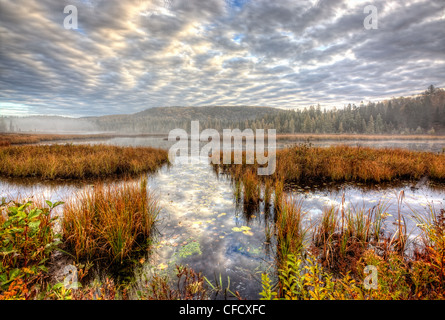 Südende des Opeongo See, Algonquin Park, Ontario, Kanada. Stockfoto