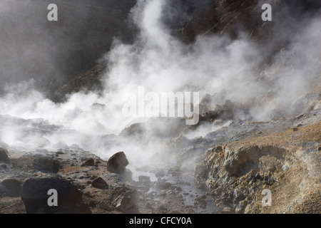 Dampf steigt aus Geothermie-Pools bei Seltun auf der Reykjanes-Halbinsel in der Nähe von Keflavik, Island, Polarregionen Stockfoto