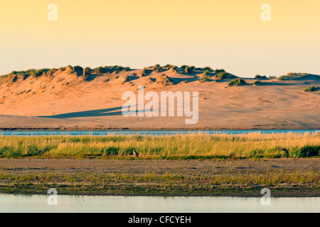 Sanddüne, Tracadie Bay, Prince Edward Island National Park, Prince-Edward-Insel, Kanada Stockfoto