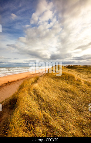 Sanddüne, Brackley Beach, Prince Edward Island National Park, Kanada Stockfoto