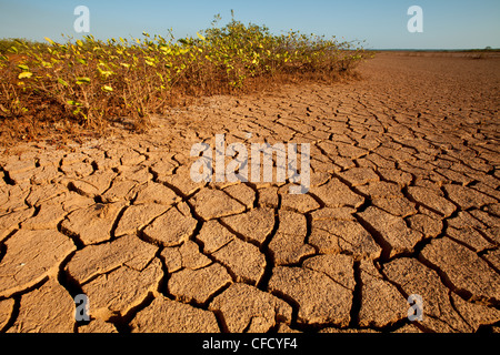 Rissige Erde in Sarigua Nationalpark (Wüste) in Herrera Provinz, Republik Panama. Stockfoto