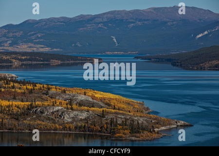 Die Ecke des Bove Insel in Tagish Lake, Yukon, Kanada. Stockfoto