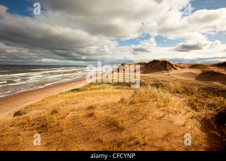 Sanddüne, Brackley Beach, Prince Edward Island National Park, Kanada Stockfoto