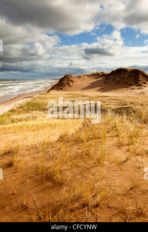 Sanddüne, Brackley Beach, Prince Edward Island National Park, Kanada Stockfoto