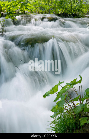 Schäumenden Kaskaden, Nationalpark Plitvicer Seen (Plitvicka Jezera), UNESCO-Weltkulturerbe, Lika-Senj County, Kroatien, Europa Stockfoto