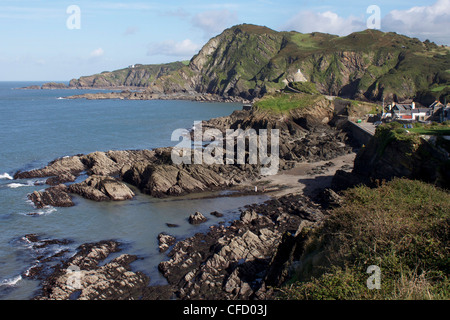 Lantern Hill und Beacon Point, Ilfracombe, Devon, England, Vereinigtes Königreich, Europa Stockfoto