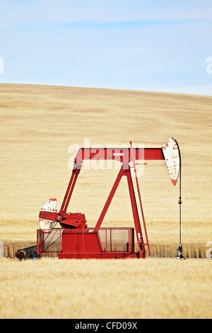 Ölquelle Pumpe Jack am Prärie Weizenfeld. Gull Lake, Saskatchewan, Kanada. Stockfoto