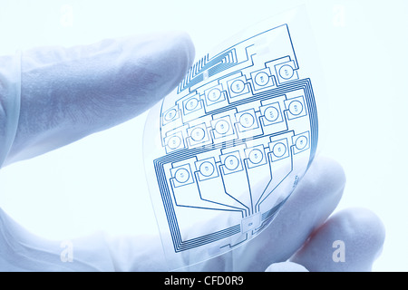 Techniker halten eine flexible Stromkreis-layout Stockfoto