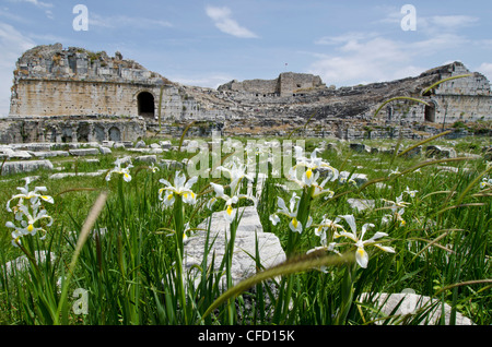 Amphitheater in Milet, eine antike griechische Stadt an der Westküste von Anatolien, Türkei. Stockfoto