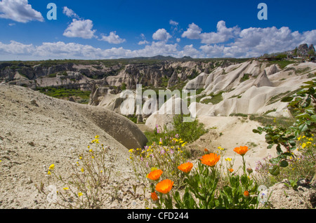 Landschaftsformen in der Nähe von Göreme, Kappadokien, auch Capadocia, Zentral-Anatolien, vor allem in der Provinz Nevşehir, Türkei Stockfoto