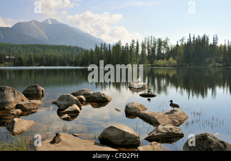 Blick über See Strbske Pleso mit Rysy Berg, hohe Tatra, Slowakei, Europa Stockfoto