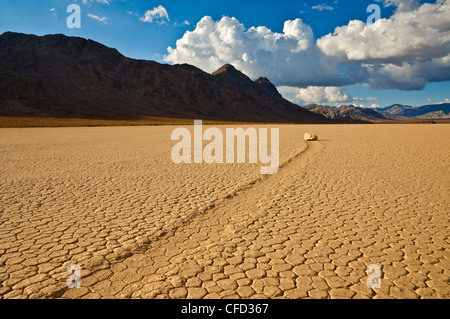 Die Tribüne im Tal Racetrack, Death Valley Nationalpark, Kalifornien, USA Stockfoto