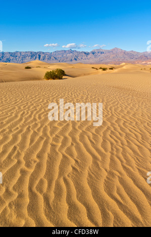 Sand, Wellen, Stovepipe Wells, Death Valley Nationalpark, Kalifornien, USA Stockfoto