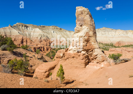 Eine sedimentäre Rohr, Kodachrome Basin State Park, Grand Staircase-Escalante National Monument, Kane County, Utah, USA Stockfoto