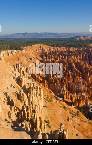 Sandstein Hoodoos im Bryce Amphitheater, Inspiration Point, Bryce-Canyon-Nationalpark, Utah, Vereinigte Staaten von Amerika Stockfoto