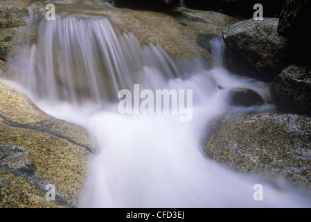 Frisches Wasser über Granitfelsen, Shannon Falls Park, Squamish, British Columbia, Kanada. Stockfoto