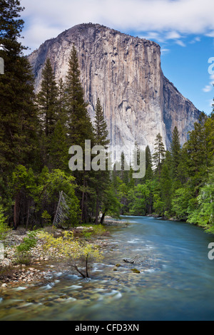 El Capitan, Yosemite-Nationalpark Sierra Nevada, Kalifornien, USA Stockfoto