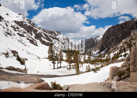 Sonora Pass, 9624 ft auf State Route 108, die zweite höchste Autobahn über den Sierras Sierra Nevada Mountains, Kalifornien, USA Stockfoto