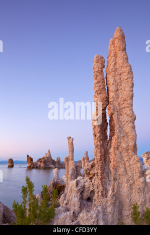 Tuffstein-Türme und Turm-Formationen von Calcium Carbonat, Inyo National Forest Scenic Area, Kalifornien, USA Stockfoto