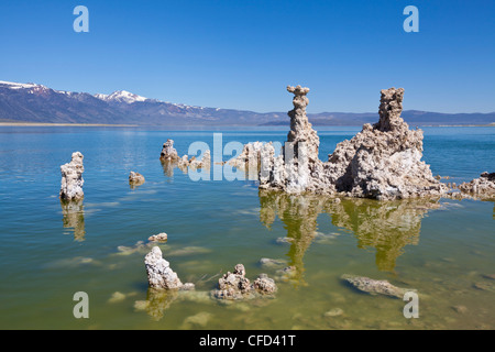 Tuffstein Turmspitzen, Inyo National Forest Scenic Area, Kalifornien, USA Stockfoto