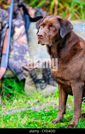 Labrador neben einer Cooey12 messen einzelne Schuss-Schrotflinte, eine Camouflage-Jacke und Stiefel, Duncan, British Columbia, Kanada. Stockfoto