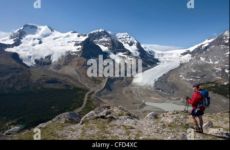 Wanderer mit der Aussicht auf das Columbia Icefield von Wilcox Pass, Jasper Nationalpark, Kanadische Rockies, Alberta, Kanada Stockfoto