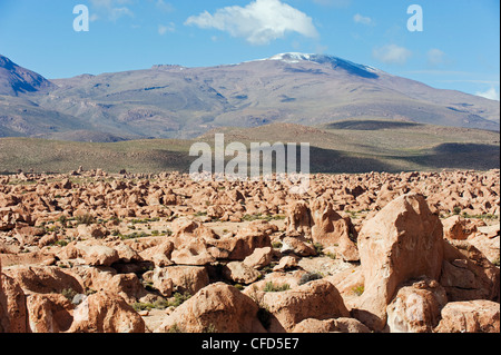 Felsformationen in der Altiplano-Wüste, Bolivien, Südamerika Stockfoto