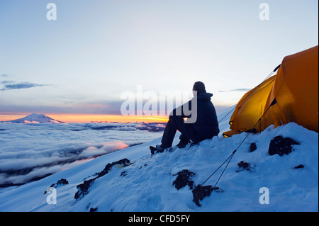 Kletterer auf der Suche bei Sonnenaufgang am Vulkan Cotopaxi, 5897m, der höchste aktive Vulkan der Welt, Ecuador, Südamerika Stockfoto