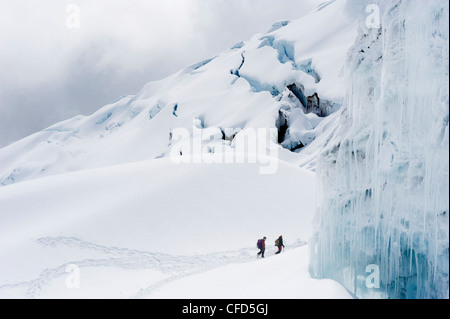 Kletterer auf dem Gletscher des Volcan Cotopaxi, 5897 m der höchste aktive Vulkan der Welt, Ecuador, Südamerika Stockfoto