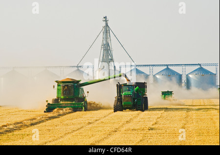 Kombinieren Sie weiblichen Operator erntet gewendetem Frühling Stockfoto