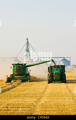 Kombinieren Sie weiblichen Operator erntet gewendetem Frühling Stockfoto