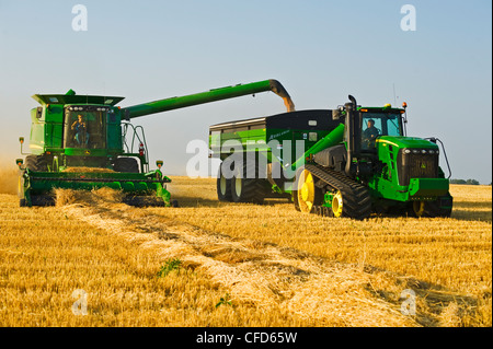 Kombinieren Sie weiblichen Operator erntet gewendetem Frühling Stockfoto