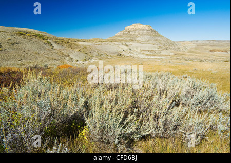 Killdeer Badlands, Ostblock, Grasslands National Park, Saskatchewan, Kanada Stockfoto