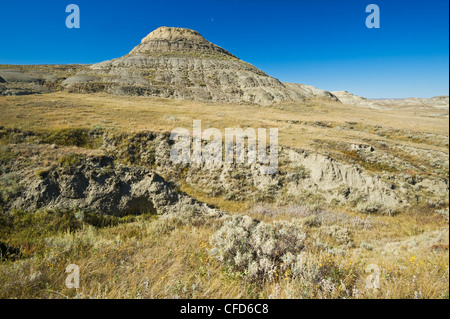 Killdeer Badlands, Ostblock, Grasslands National Park, Saskatchewan, Kanada Stockfoto