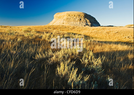 Killdeer Badlands, Ostblock, Grasslands National Park, Saskatchewan, Kanada Stockfoto