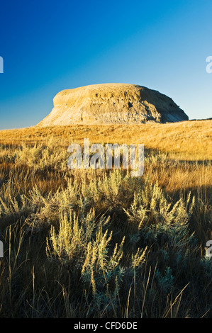 Killdeer Badlands, Ostblock, Grasslands National Park, Saskatchewan, Kanada Stockfoto