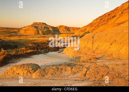 Killdeer Badlands, Ostblock, Grasslands National Park, Saskatchewan, Kanada Stockfoto